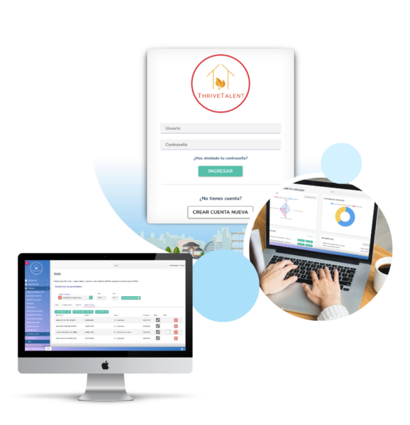Dashboard Thrive Talent
